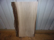 SMALL RUSTIC WALNUT SLAB KILN DRIED LUMBER  3/4" THICK LOT 2815V LIVE EDGE