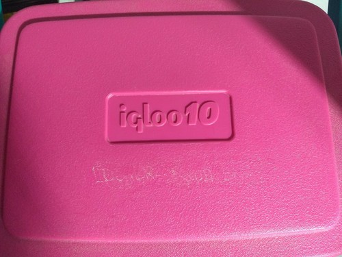 Vintage Igloo Sport 10 Neon Teal Hot Pink Cooler Ice Chest 90's 14x13x9 - Picture 2 of 2