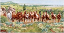 24" Elizabeth's Studio Wild  Free Horse Panel 9900CREAM