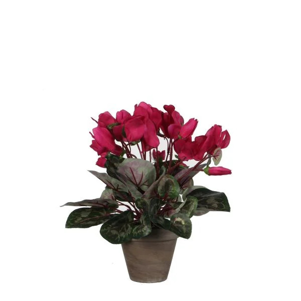 Mica Kunstpflanze Zyklamen Dunkelrosa Im Topf 11,5 X 30 X 30 Cm Kunstpflanzen-image