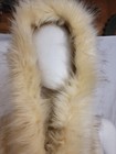 Picture 6 of 12