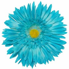 Squishy Pet Products Sprinkles He Loves Me Collar Accessories, 5-Inch, Turquoise