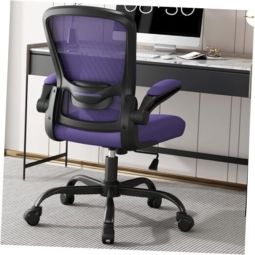 Office Chair, Ergonomic Desk Chair with Adjustable Lumbar Amethyst Modern