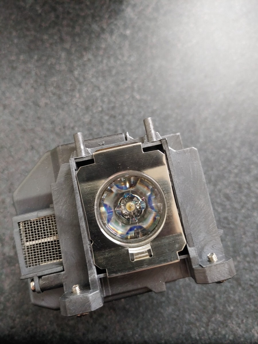 CTLAMP