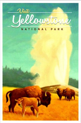 Vist Yellowstone National Park Wyoming Lantern Press Old Faithful Bison postcard