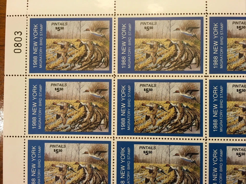 NY4s Nova York 1988 *FOLHA COMPLETA EM PERFEITO ESTADO ASSINADA* Plasschaert, Pintails *RARO* - Imagem 2 de 4