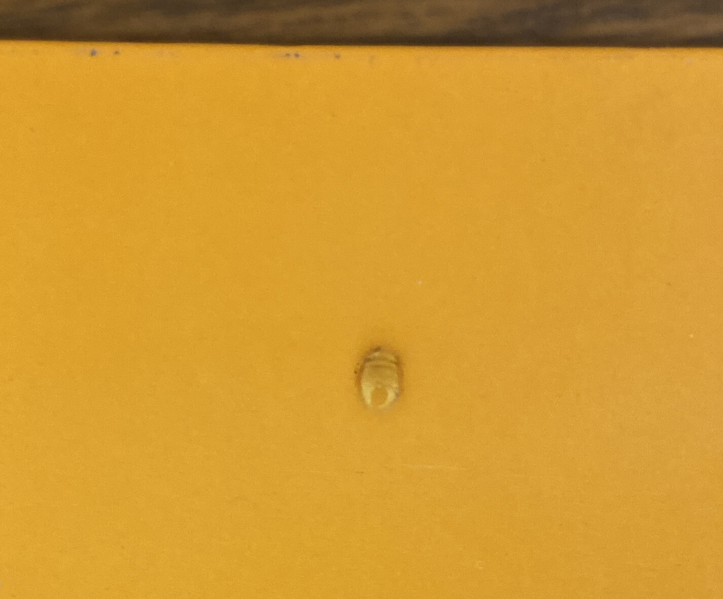 Picture 7 of 9