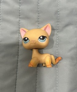 authentic littlest LPS PETSHOP 339 cat chat european européen shorthair