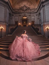 Sweet 15Quinceanera Dress Floral Appliques Bow Off Shoulder Ball Gown Pink Tulle