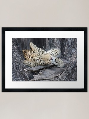 Ho Hum Gerahmter Kunstdruck Gerahmtes Wandbild Poster Leinwanddruck Bild