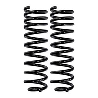 Fahrwerksfedern-Set Hinten Schraubenfeder Ø 12,8 Mm Eibach FüR U.A. VW Passat