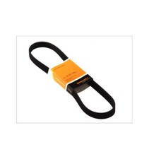 Courroie de distribution Volkswagen PHAETON