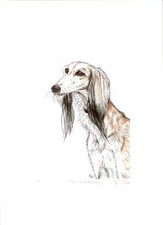 Tirage d'art Saluki édition limitée par l'artiste britannique Elle Wilson The Understanding