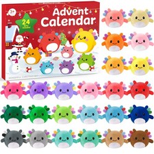 Advent Calendar 2025 - Christmas Countdown Calendars - 24 Days of Surprises w...