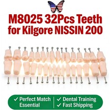 Dental Typodont Teeth 200 Type Replacement of 32 Teeth Kilgore Nissin Fit Screws