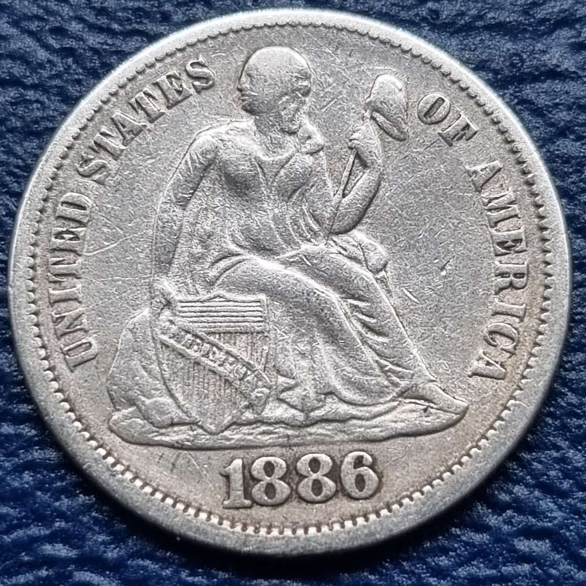 CDL eternity pierce シルバー CDL eternity pierce シルバー