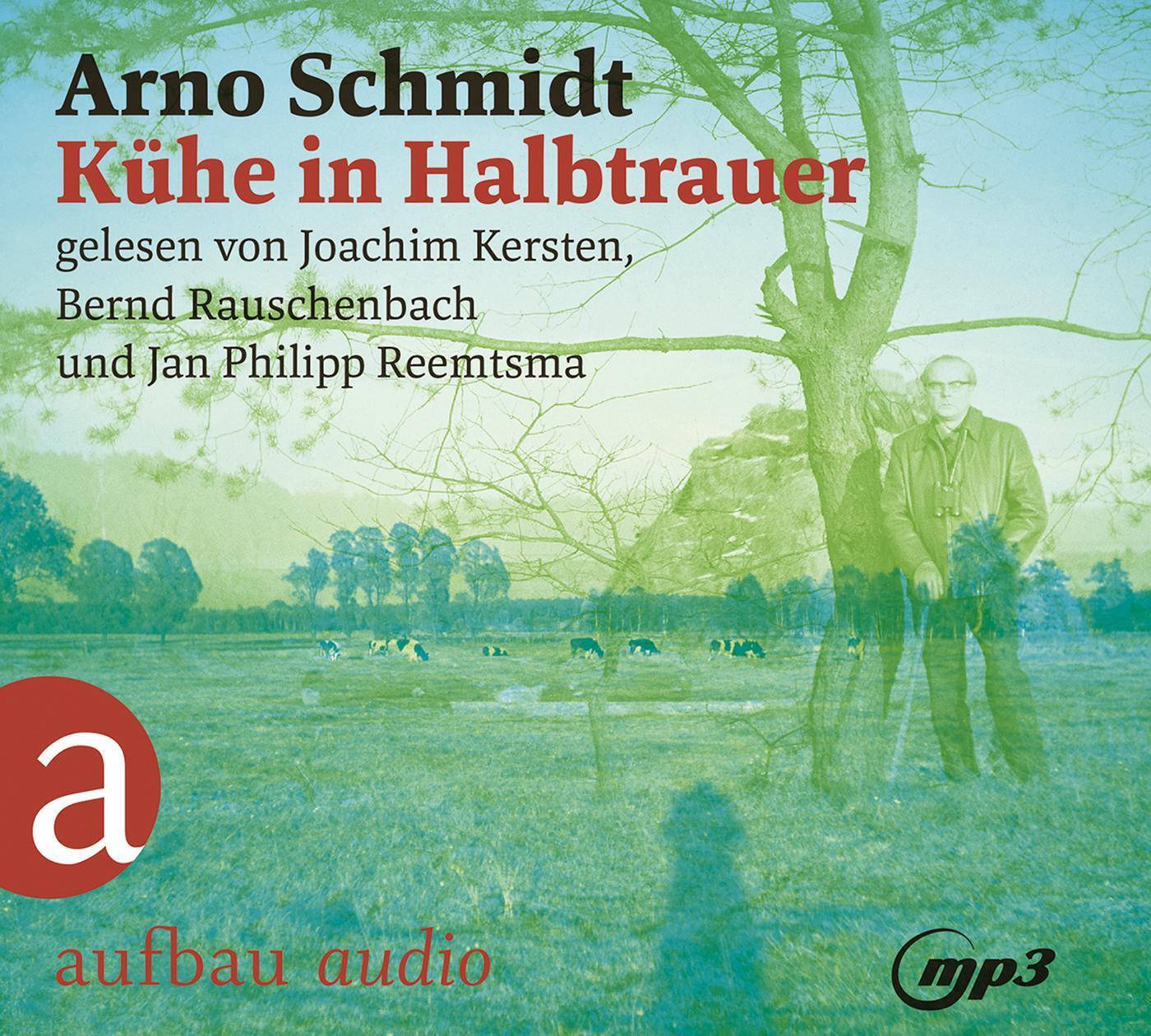 Kühe In Halbtrauer | Arno Schmidt | Deutsch | Mp3 | 2 | 2020 | Aufbau