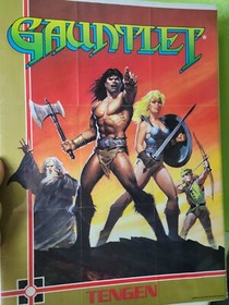 Gauntlet Poster NES Insert Nintendo Packaged In Plastic Ready For Display 1980s