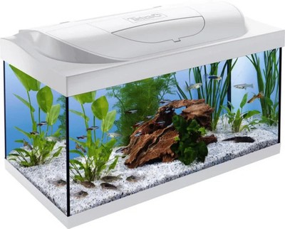 Tetra Aquarium Starter Line LED 54 L weiß  Aquarium