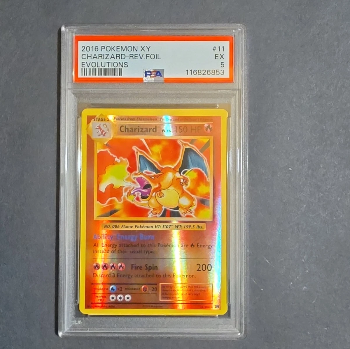 Pokémon TCG Grade 5 Charizard Individual Collectible Card Game