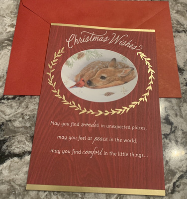 Merry Christmas Wishes Friend Family Peace 5.5 x8  Hallmark Greeting Card