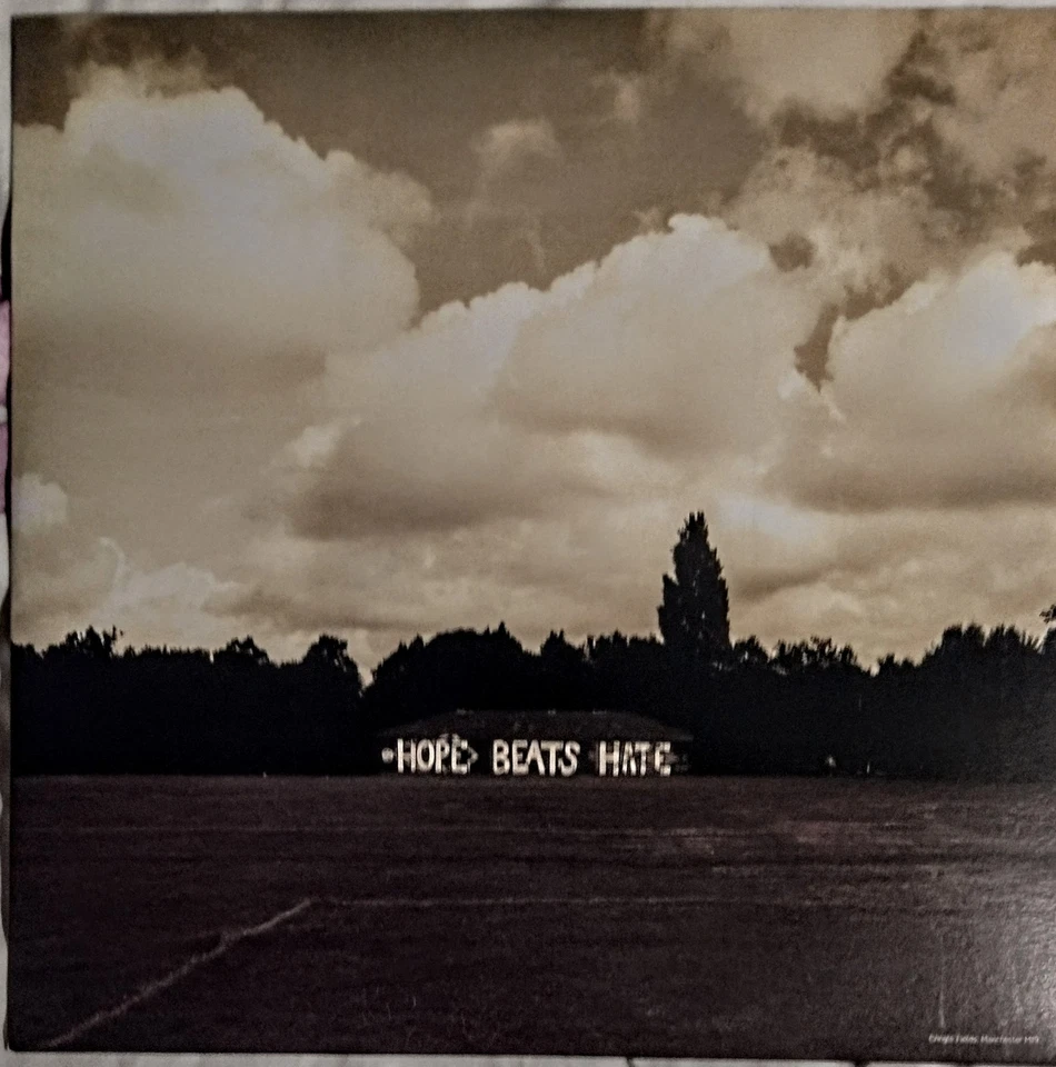 Noel Gallagher's High Flying Birds Council Skies, Vinyl LP, Bonus 7" Single, Ex — 第 3/4 张图片