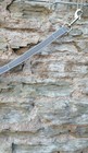Bild 28 von 49