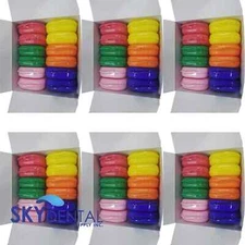 Dental Retainer Denture Storage Case Box Mouthguard Container Assorted Up to 72