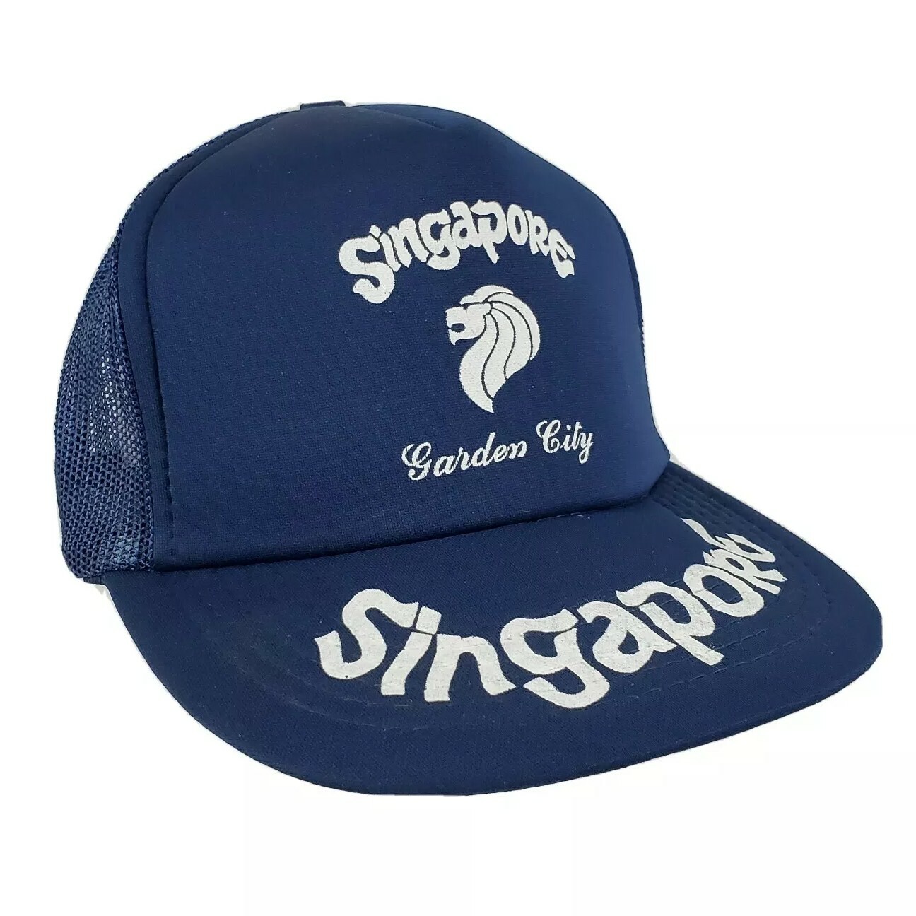 snapback hats singapore
