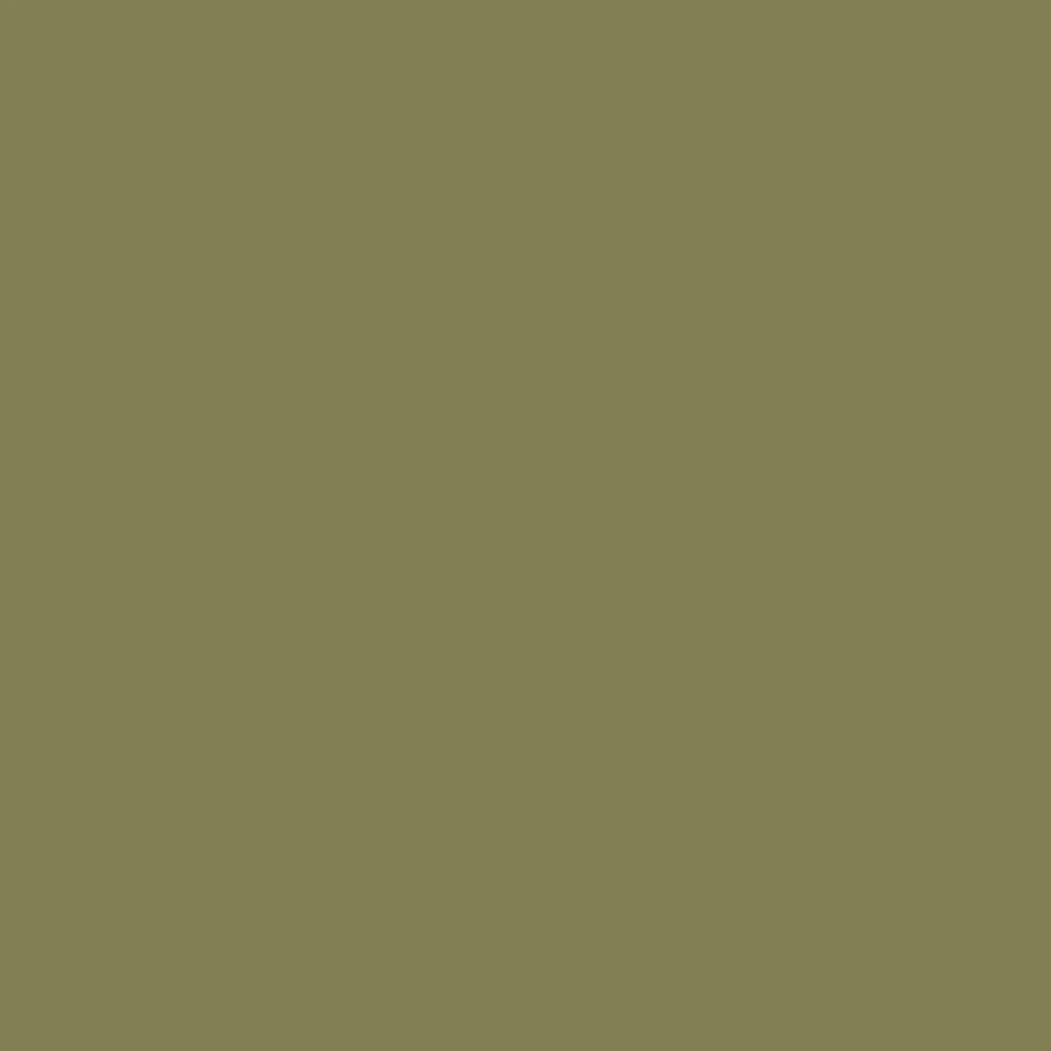 Savage Widetone Seamless Background Paper (#34 Olive Green, 53" x 36') - Image 2 of 2