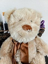 New Teddy Bear Floppy Plush 12" Retired By Anico International