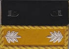 Civil War Cavalry Lieut Colonel  Shoulder Boards Shoulder Straps w/Frock Clip