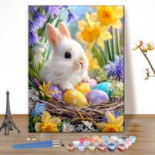 Easter Bunny Paint by Numbers Kits for Adults Spring, DIY Kits Crafts for Beginn