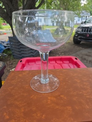 Oversized Large Wine Margarita Martini Drink Glass Fish Bowl, terranium
