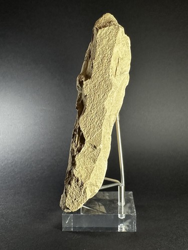ANCIENT NEAR EASTERN STONE CARVED PLAQUE DEPICTING HORNED GOAT - CIRCA 1600 BCE - Picture 6 of 11
