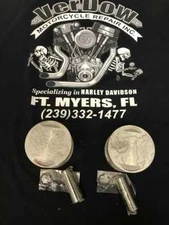 HARLEY DAVIDSON STYLE EVO SPORTSTER 1100CC .005" OVER PISTON KIT NO RINGS