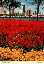 John Hancock Center, Chicago, North Michigan Avenue, Lake Michigan postcard