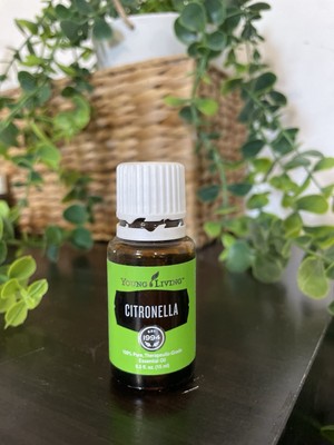 Young Living Citronella (opened) 15ml | eBay