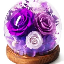 Forever Real Preserved Roses in Glass Dome Roses
