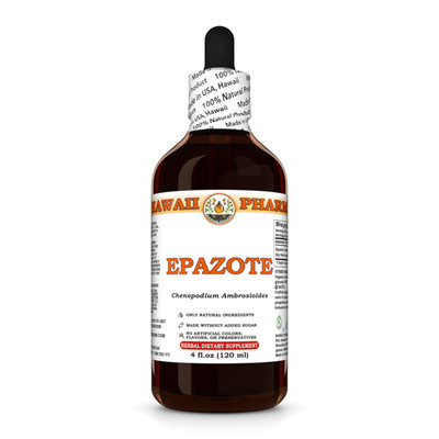 Epazote (Chenopodium Ambrosioides) Dried Herb Liquid Herbal Extract