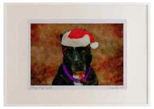 771094 Christmas Pit Bull Watercolour Picture Frame