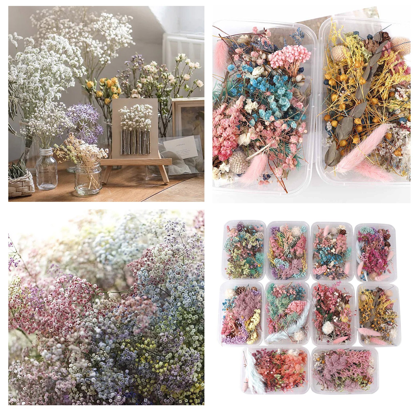 1PC Dried Flowers Natural Floral Art Craft Scrapbooking Resin Jewelry Making-image