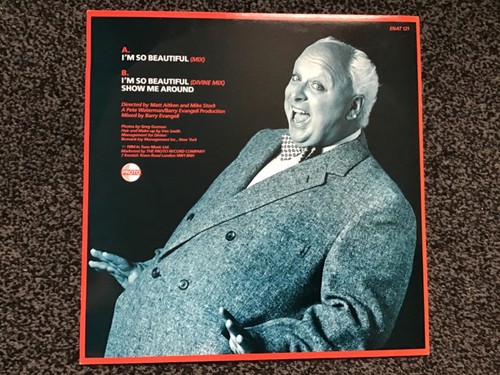 DIVINE - I’M SO BEAUTIFUL 1984 UK 12” SINGLE PROTO ENA(T) 121 NEAR MINT ! - Imagen 2 de 4