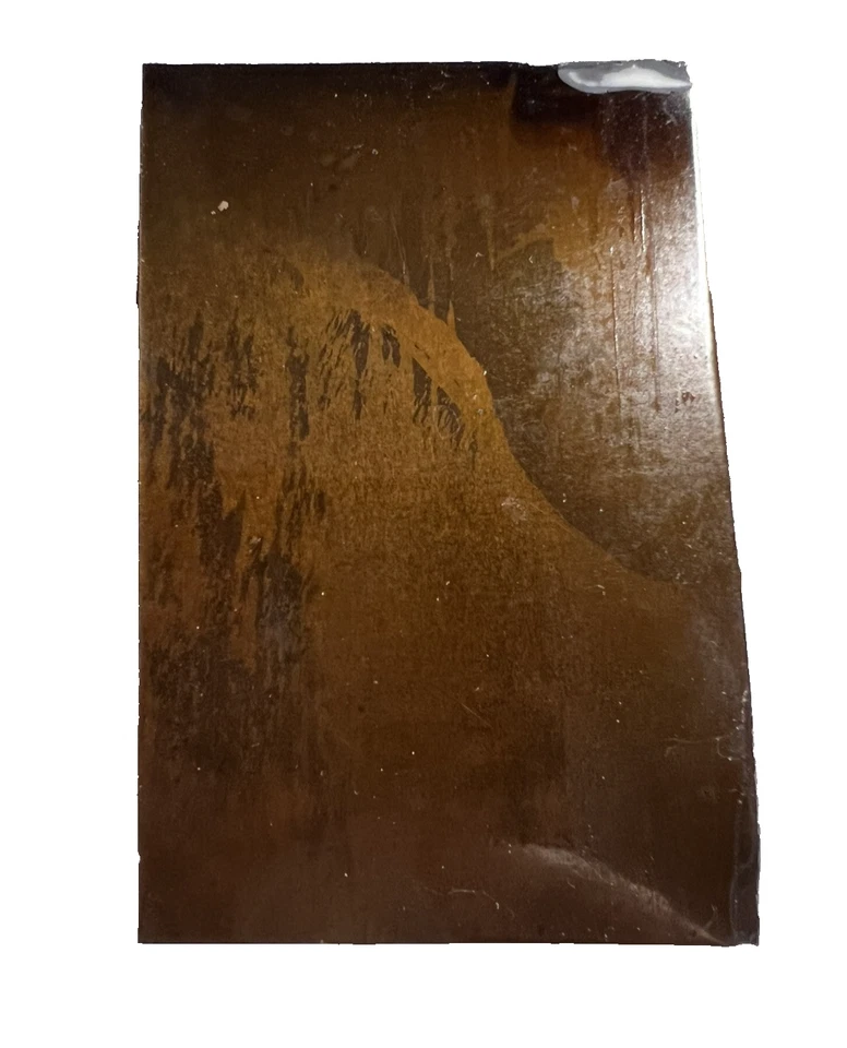 1890s Gilded Age SHOHOLA GLEN AMUSEMENT PARK Pa 1/6 Tintype Souvenir Photo VG+ - Image 4 of 4