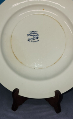 Vintage Clarice Cliff Dinner Plate Royal Staffordshire England