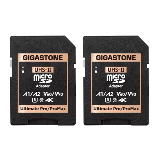 Gigastone Adattatore per scheda di memoria SD UHS-II da MicroSD a UHS-II, (i0V)
