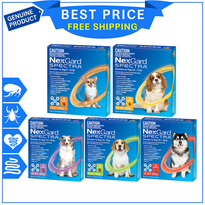 heartworm flea tick chewable