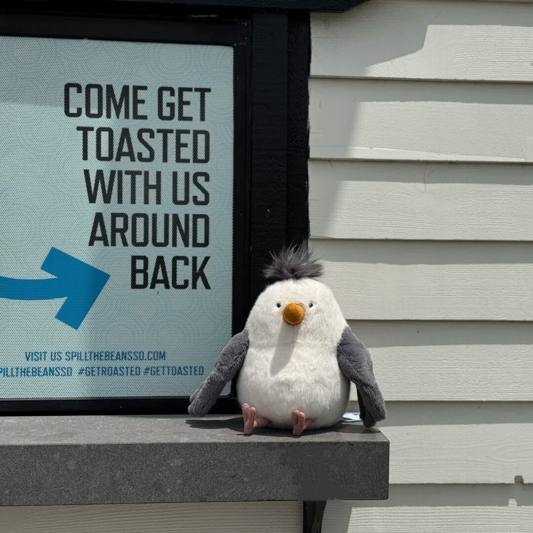 Jellycat CHIP SEAGULL Soft Plush FREE DUST BAG Fun Stuffed Ocean