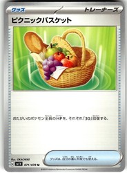 Picnic Basket 071/078 Violet ex