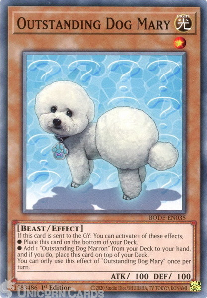 BODE-EN035 Outstanding Dog Mary : Common : 1st Edition Mint YuGiOh Card